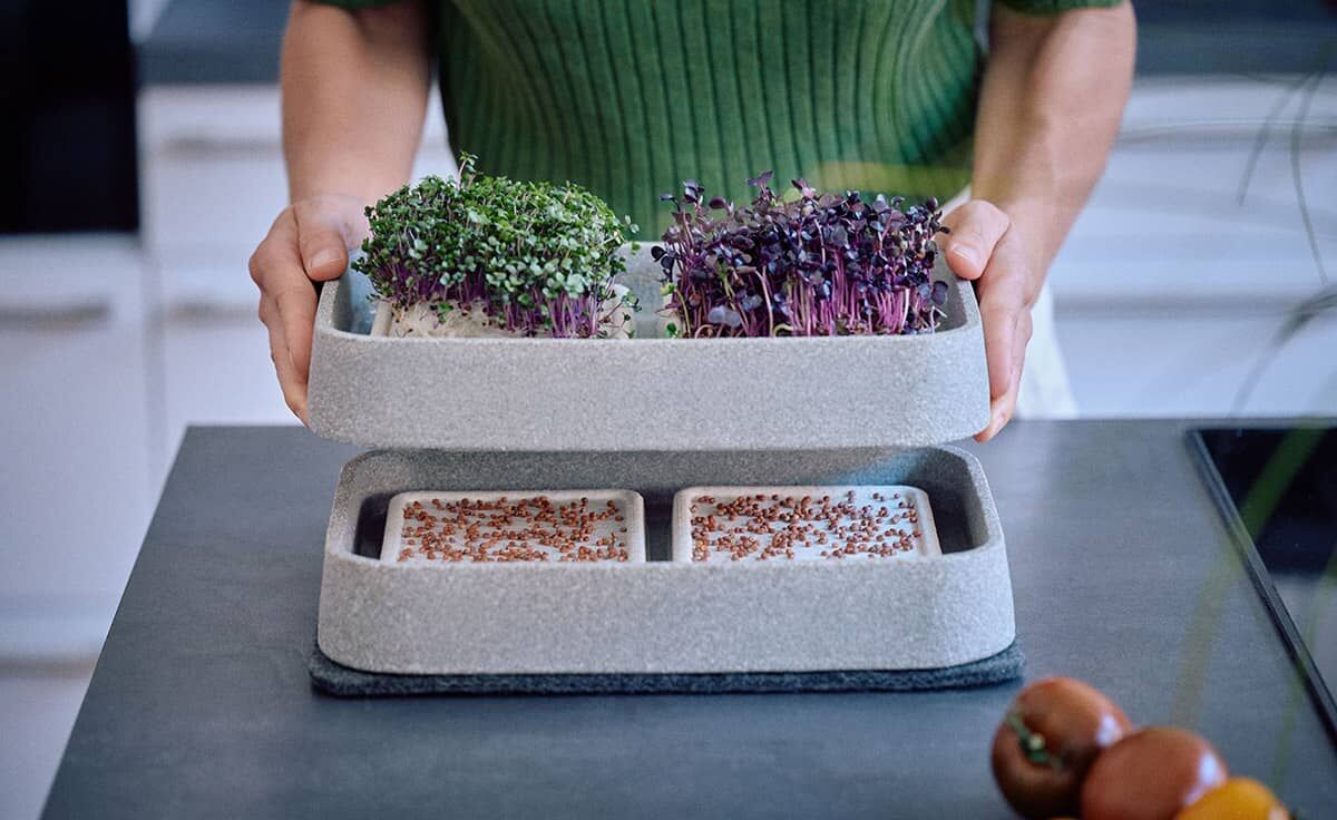 DENK Keramik Mikrogarten XL-SET Pflanzstation für Microgreens Granicium® | MGXL von DENK Keramik DENK Keramik Mikrogarten XL-SET Pflanzstation für Microgreens Granicium® | MGXL von DENK Keramik