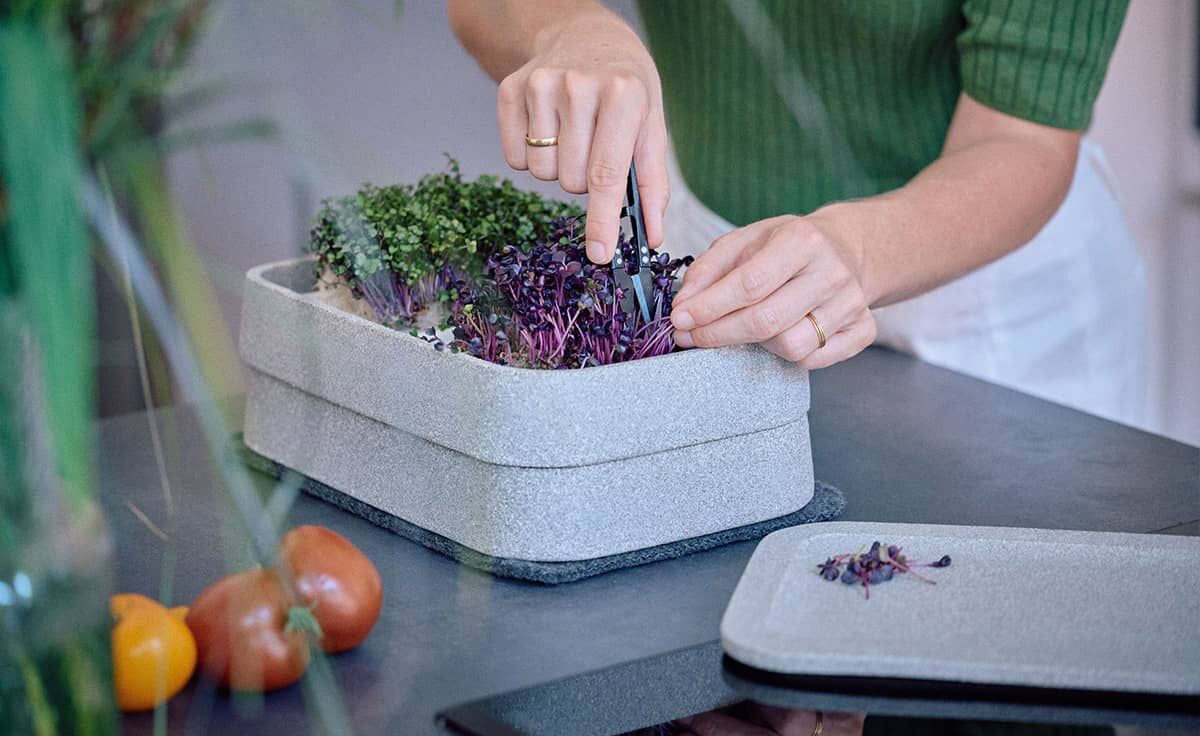 DENK Ernteteller XL Mikrogarten Granicium | MGXL-ET von DENK Keramik