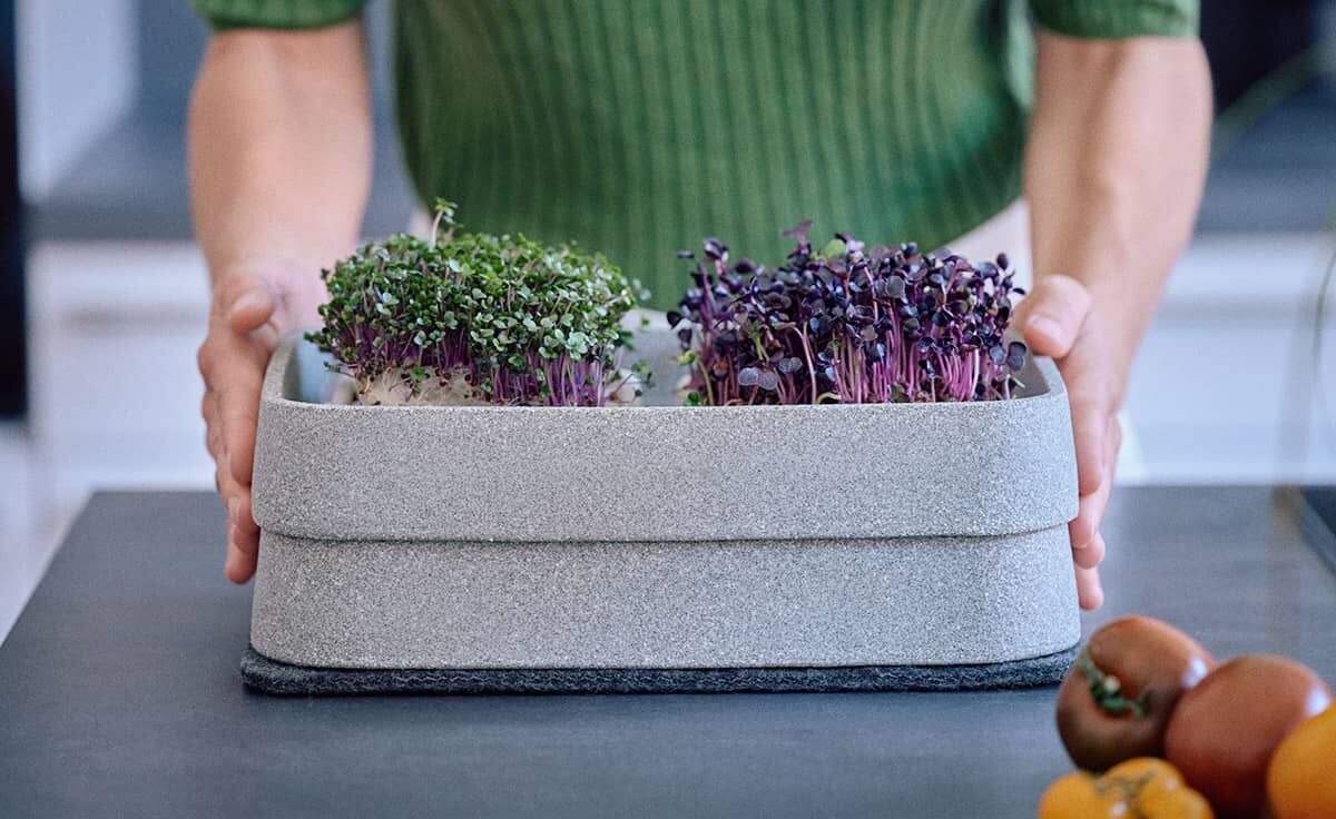 DENK Keramik Mikrogarten XL-SET Pflanzstation für Microgreens Granicium® | MGXL von DENK Keramik DENK Keramik Mikrogarten XL-SET Pflanzstation für Microgreens Granicium® | MGXL von DENK Keramik