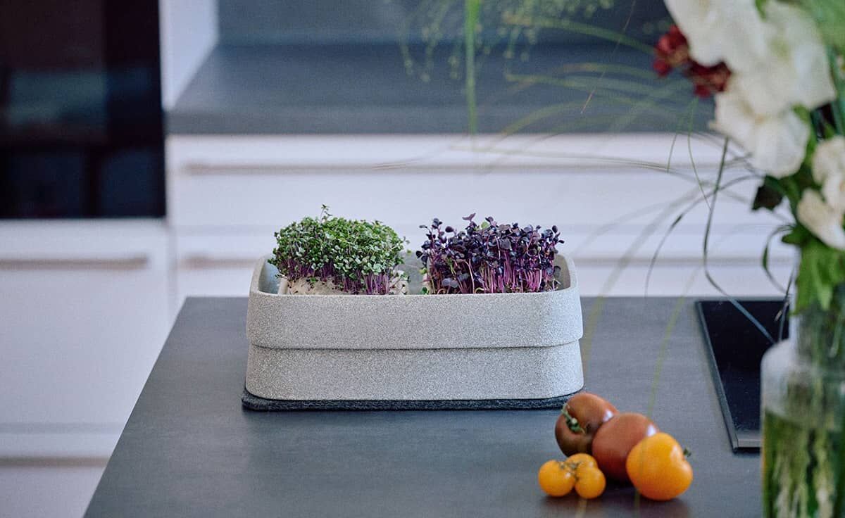 DENK Keramik Mikrogarten XL-SET Pflanzstation für Microgreens Granicium® | MGXL von DENK Keramik DENK Keramik Mikrogarten XL-SET Pflanzstation für Microgreens Granicium® | MGXL von DENK Keramik