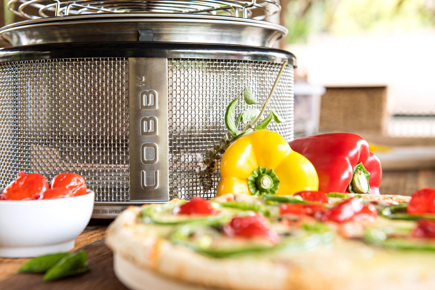 Pizzaplatte ~ Pizzastein Ø 26cm für Holzkohle und Gas Cobbgrill (CO69) von Cobb