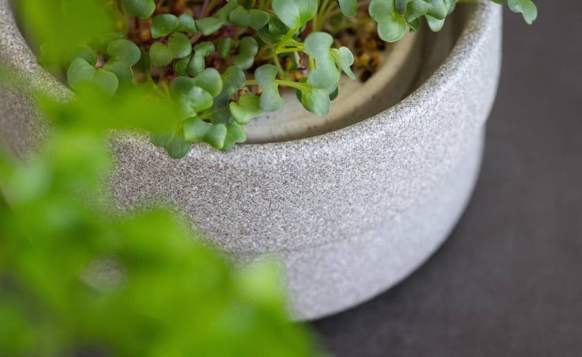 DENK Keramik Mikrogarten-Set Pflanzstation für Microgreens Granicium® | MGS von DENK Keramik